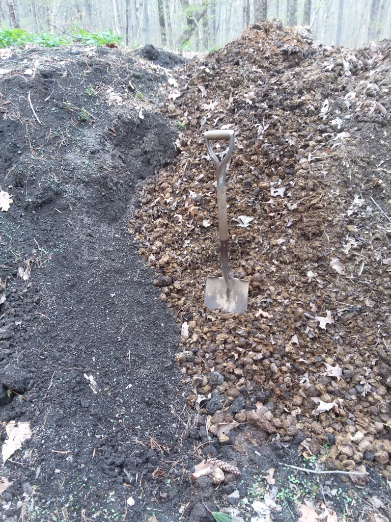 before and after photo of compost