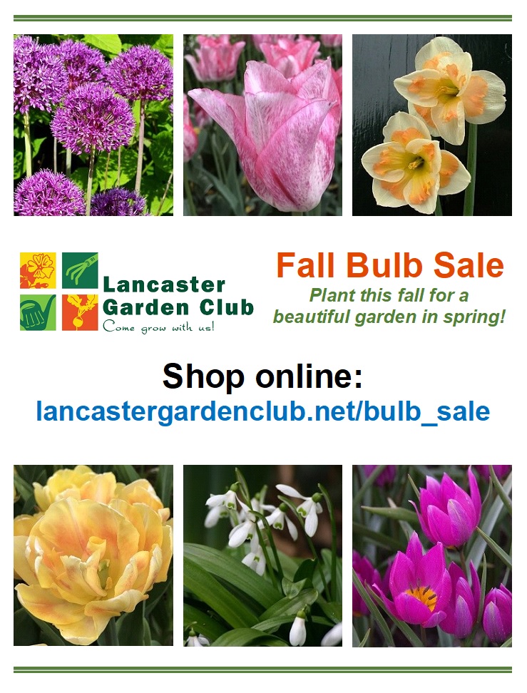 Lancaster Garden Club Bulb Sale