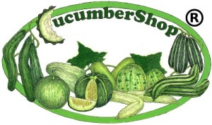 Cucumber Shop