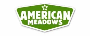 American Meadows